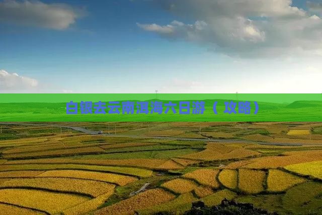 白银去云南洱海六日游
