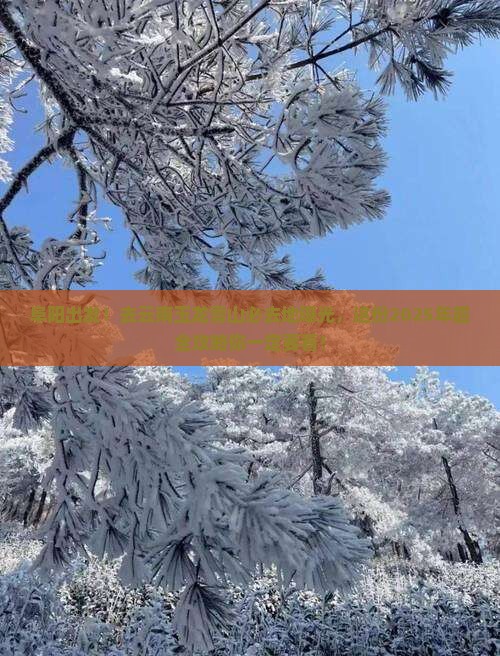 阜阳到云南玉龙雪山必去地