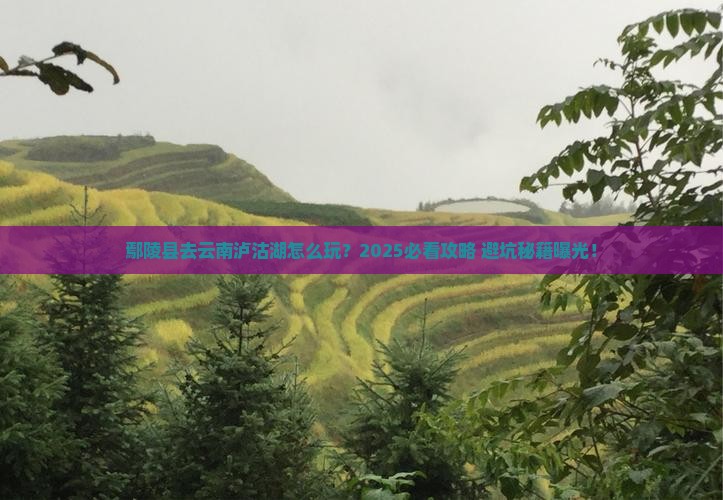 鄢陵县去云南泸沽湖团体旅游 鄢陵县去云南泸沽湖团体旅游