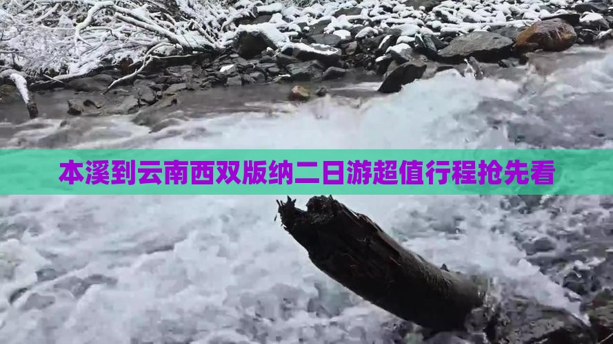 本溪到云南西双版纳二日游