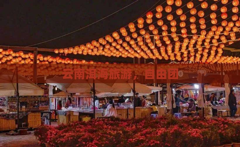 中秋节到云南洱海自由团