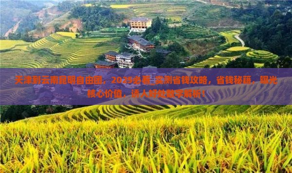 天津到云南昆明自由团