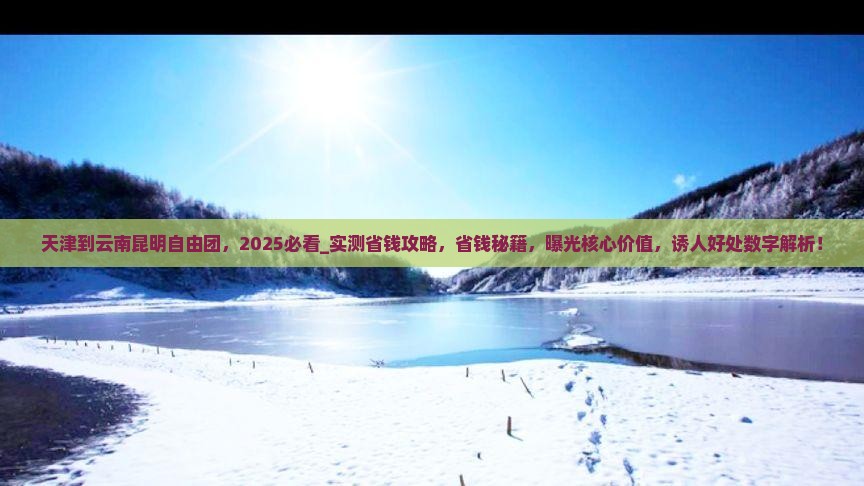 天津到云南昆明自由团