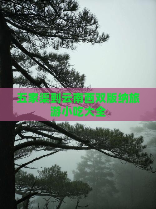 五家渠到云南西双版纳旅游小吃
