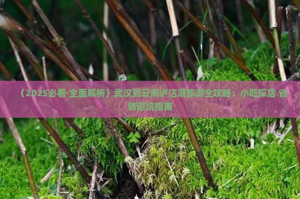 武汉到云南泸沽湖旅游小吃