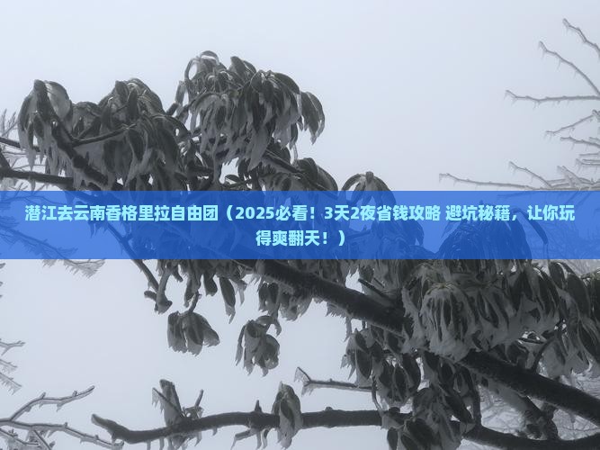 潜江去云南香格里拉自由团