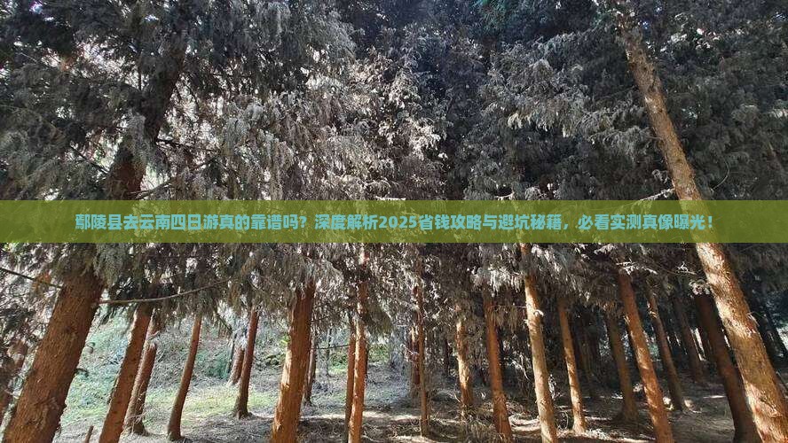 鄢陵县去云南四日游