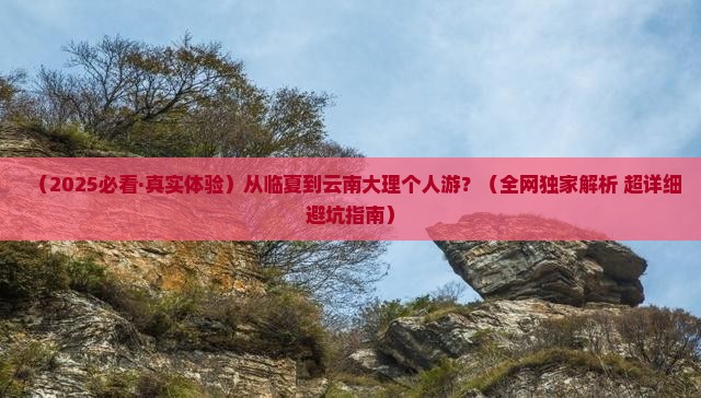 临夏去云南大理个人游