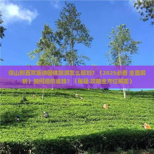 保山到云南西双版纳团体旅游
