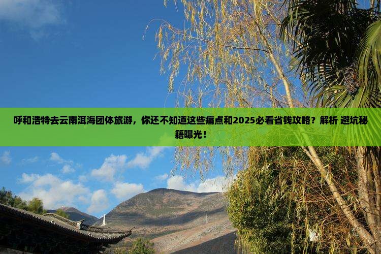 呼和浩特去云南洱海团体旅游