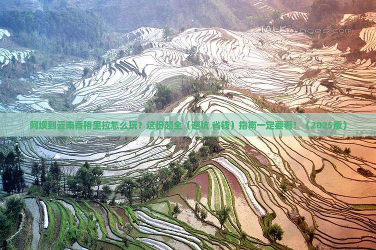阿坝去云南香格里拉攻略