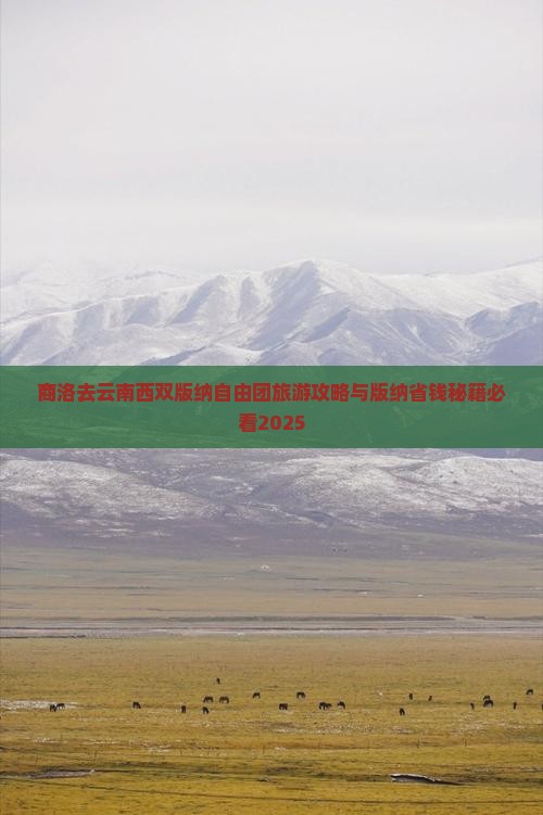 商洛去云南西双版纳自由团