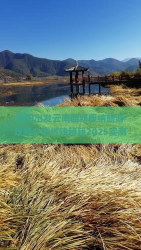 襄樊到云南西双版纳个人游