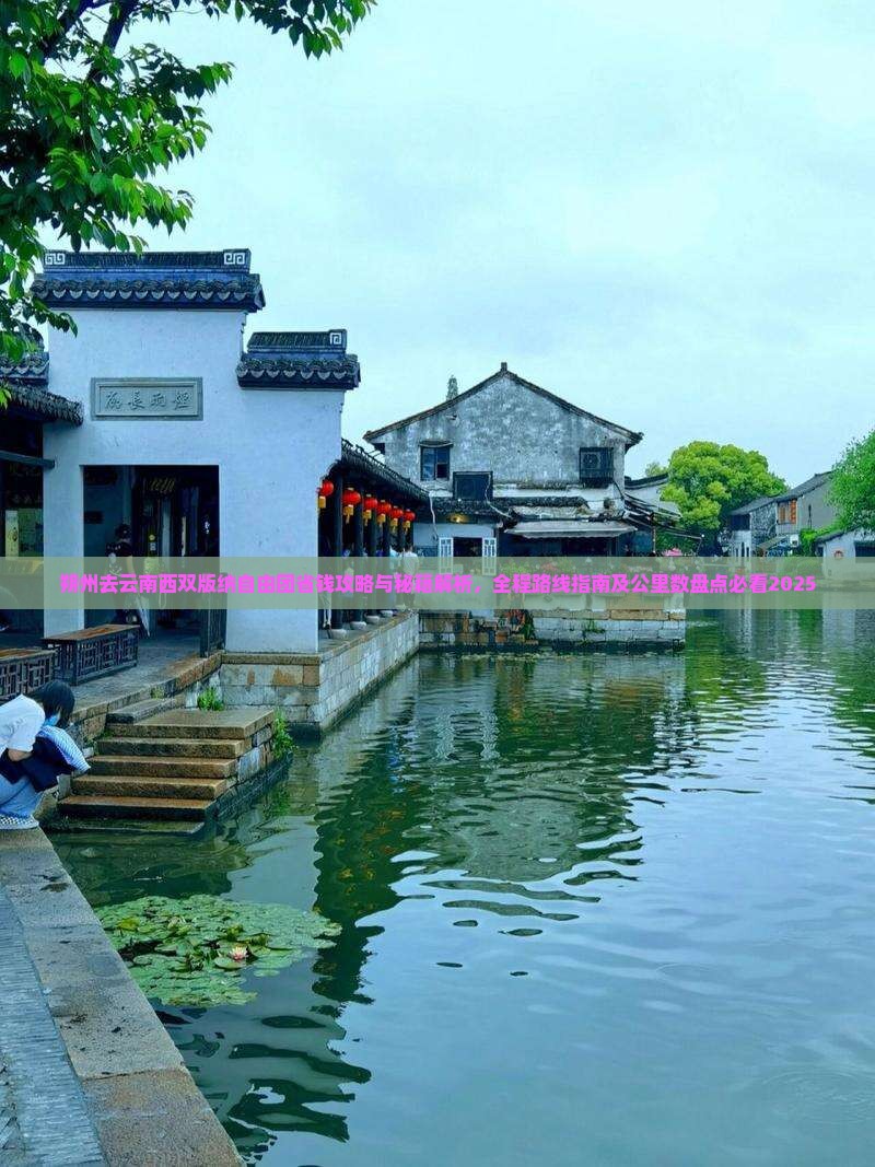 朔州去云南西双版纳自由团
