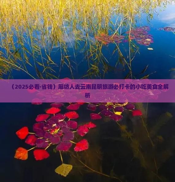 廊坊去云南昆明旅游小吃