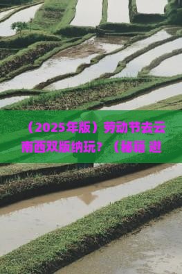 劳动节去云南西双版纳哪里玩