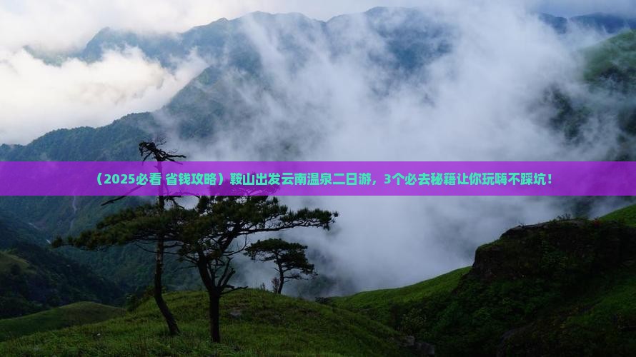 鞍山到云南温泉二日游