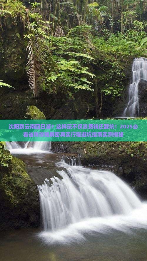 沈阳到云南四日游