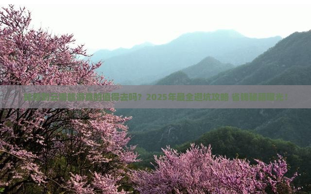 蚌埠到云南旅行社