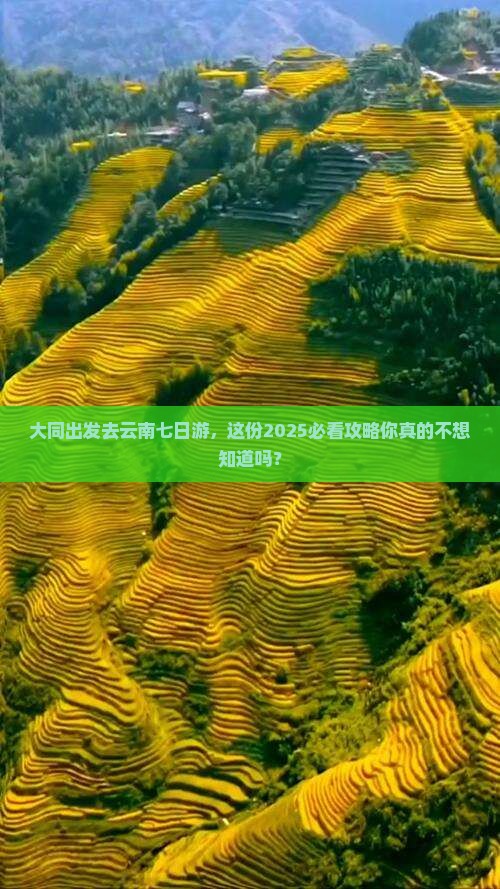 大同去云南七日游