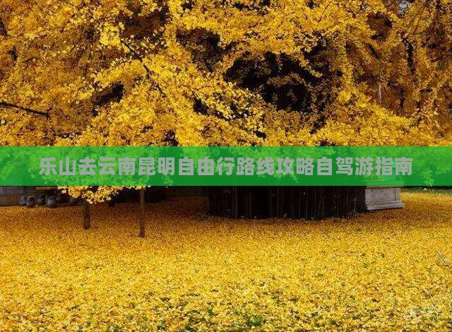 乐山去云南昆明自由行
