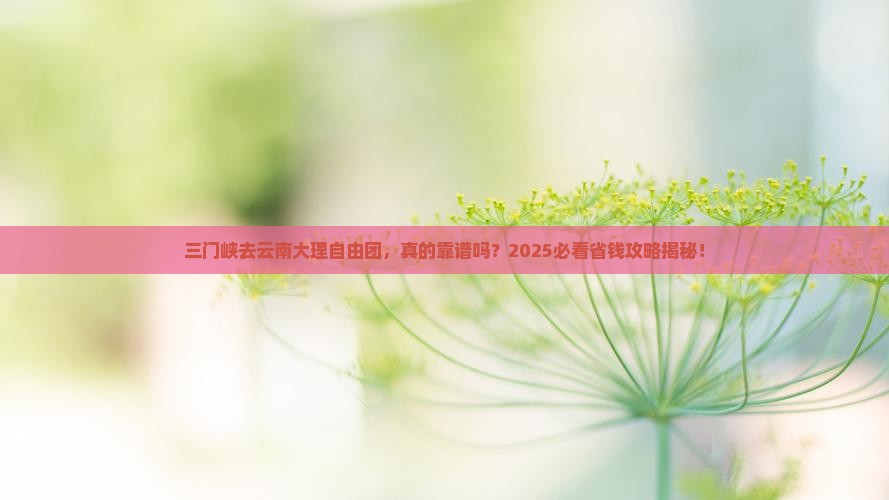 三门峡去云南大理自由团