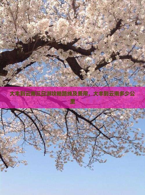 大丰到云南三日游