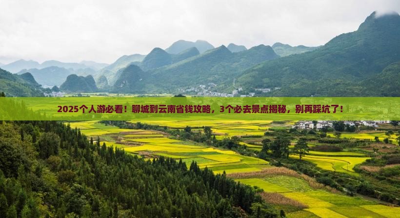 聊城到云南个人游