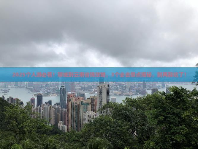 聊城到云南个人游