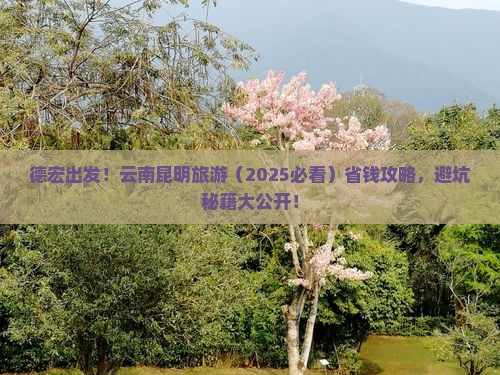 德宏去云南昆明旅游