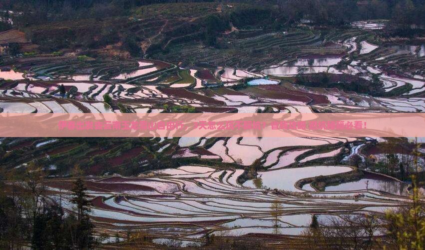 伊春到云南玉龙雪山自由行
