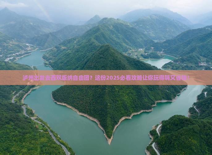 泸州到云南西双版纳自由团