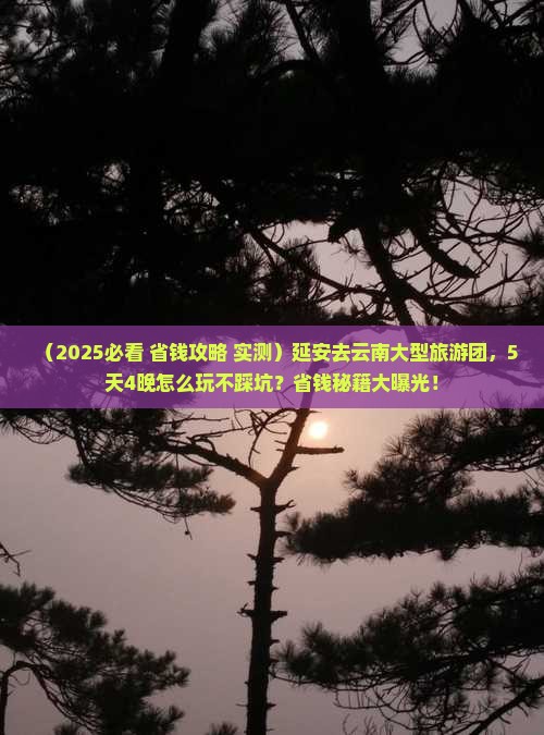 延安去云南大型旅游团