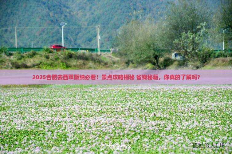 合肥去云南西双版纳景点