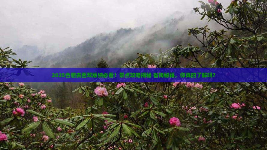 合肥去云南西双版纳景点
