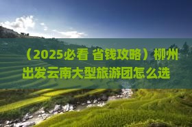 柳州到云南大型旅游团