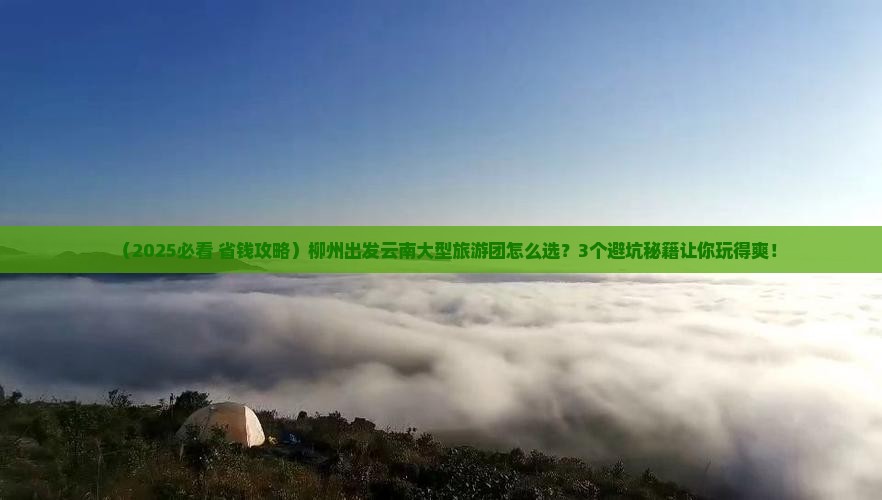 柳州到云南大型旅游团