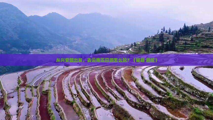 兴安盟去云南五日游
