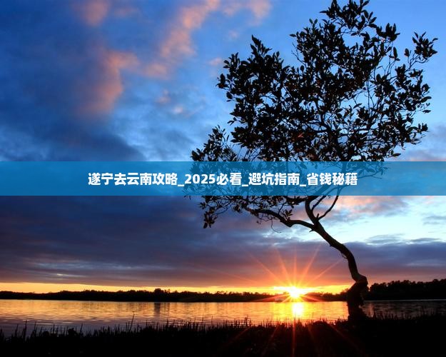 遂宁去云南攻略