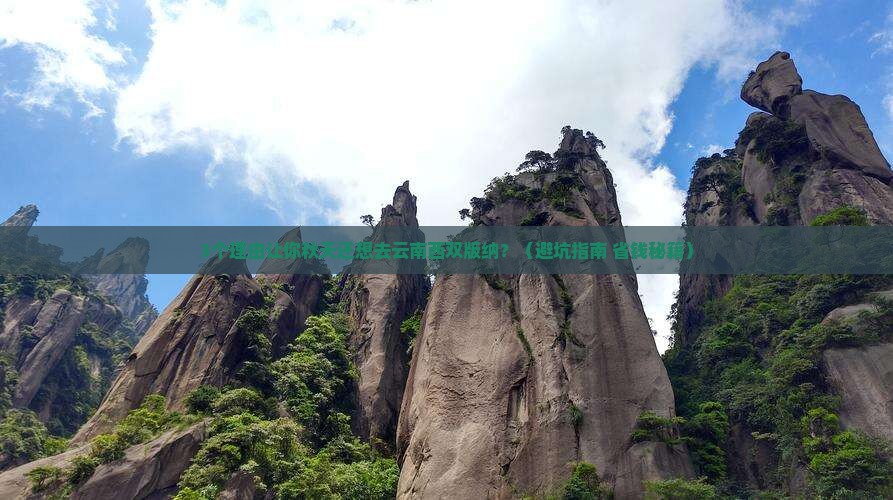 秋天去云南西双版纳旅游