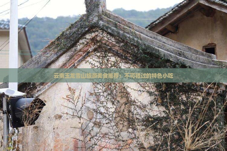 临汾去云南玉龙雪山旅游小吃