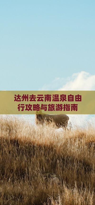 达州去云南温泉自由行