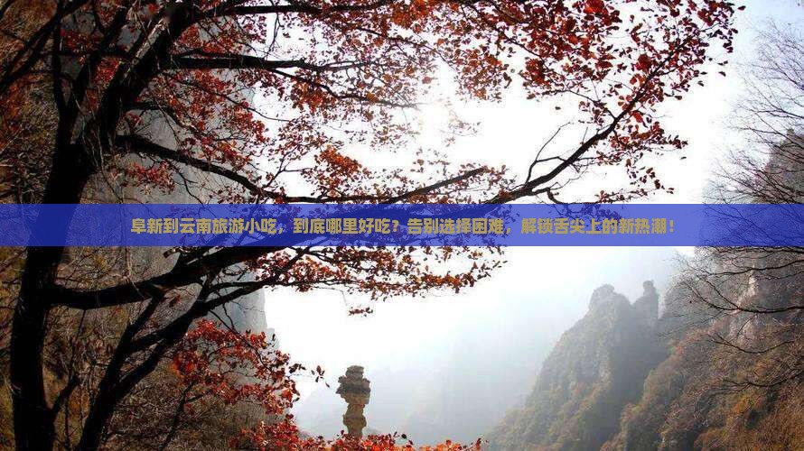 阜新到云南旅游小吃