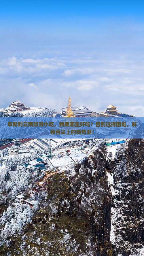 阜新到云南旅游小吃