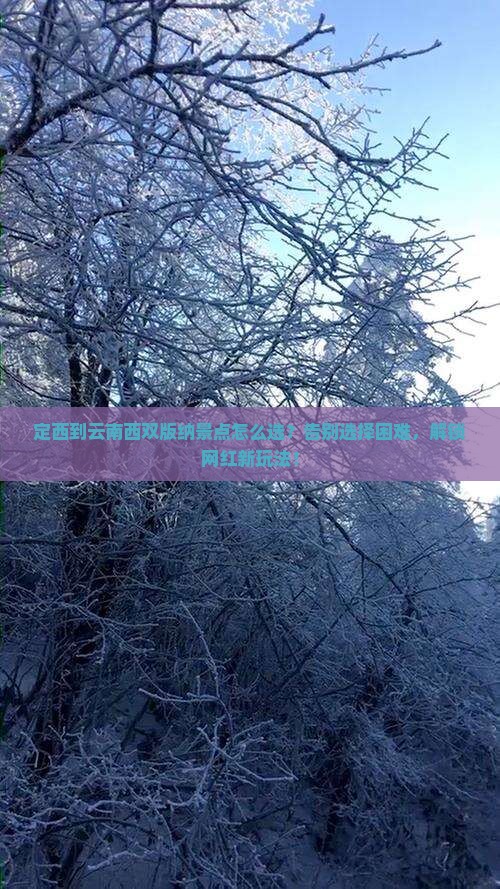 定西到云南西双版纳景点
