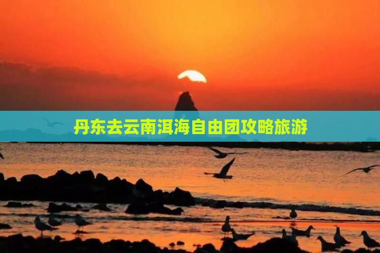 丹东去云南洱海自由团