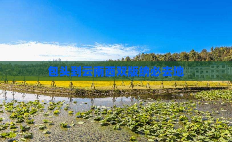 包头到云南西双版纳必去地