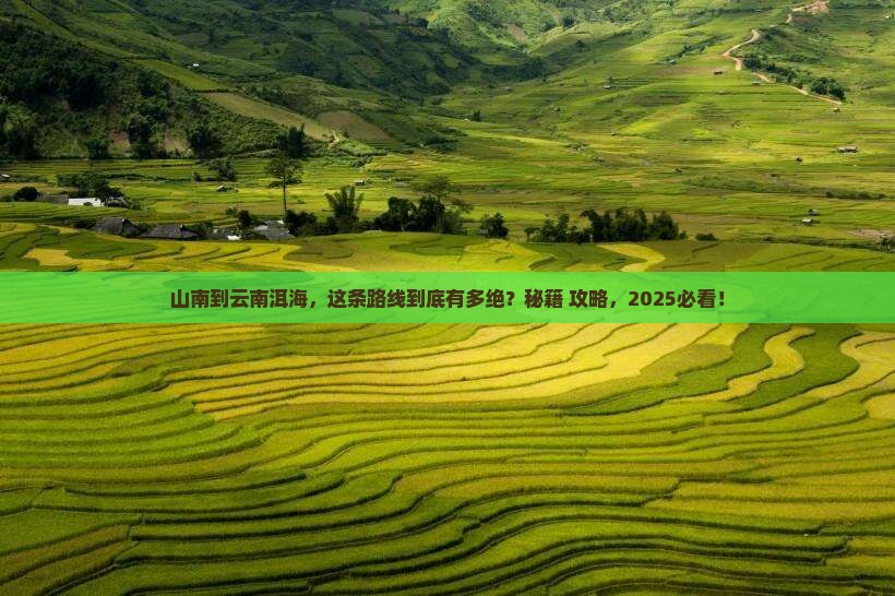山南到云南洱海必去地