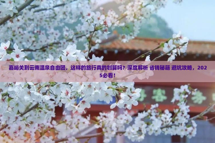 嘉峪关到云南温泉自由团