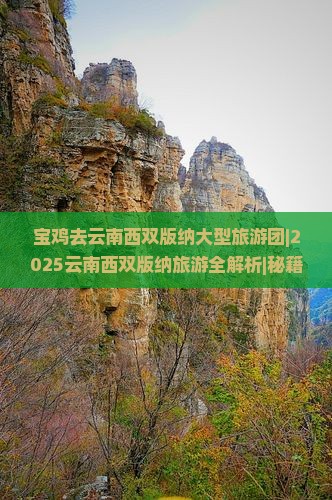 宝鸡去云南西双版纳大型旅游团